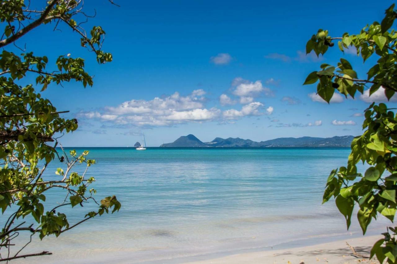 Studio A Louer Proche Des Plages Apartment แซ็งแตนน์ ภายนอก รูปภาพ